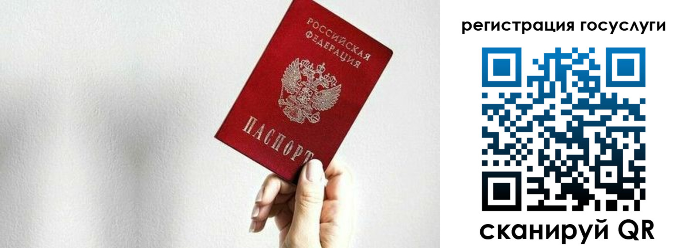 прописка гарантия в Лисках